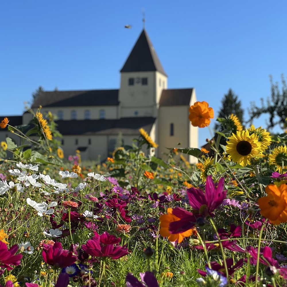 Bluetensommer_Pflanzenwelt_Reichenauer-Garten-Center_Raiffeisen-Reichenau