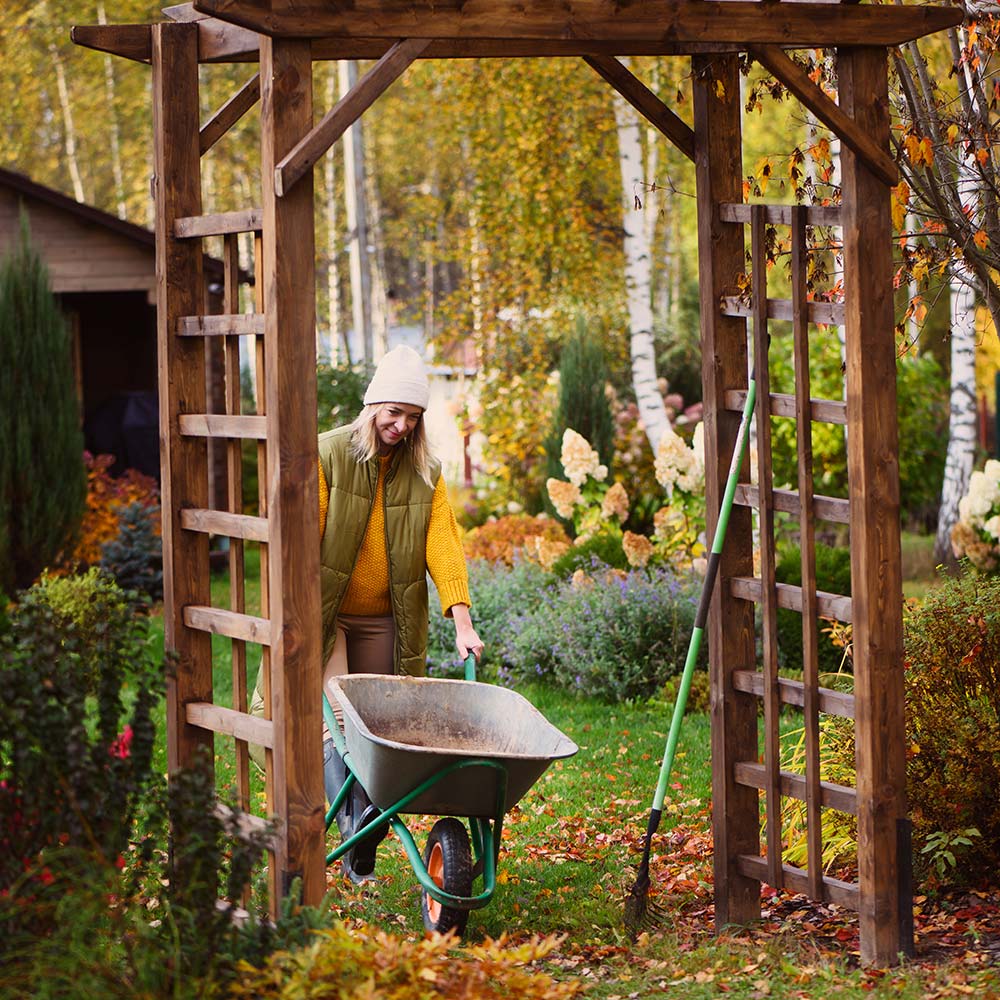 garten sortiment reichenauer garten center raiffeisen reichenau 1