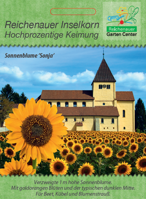 Reichenauer Inselkorn - Sonnenblume