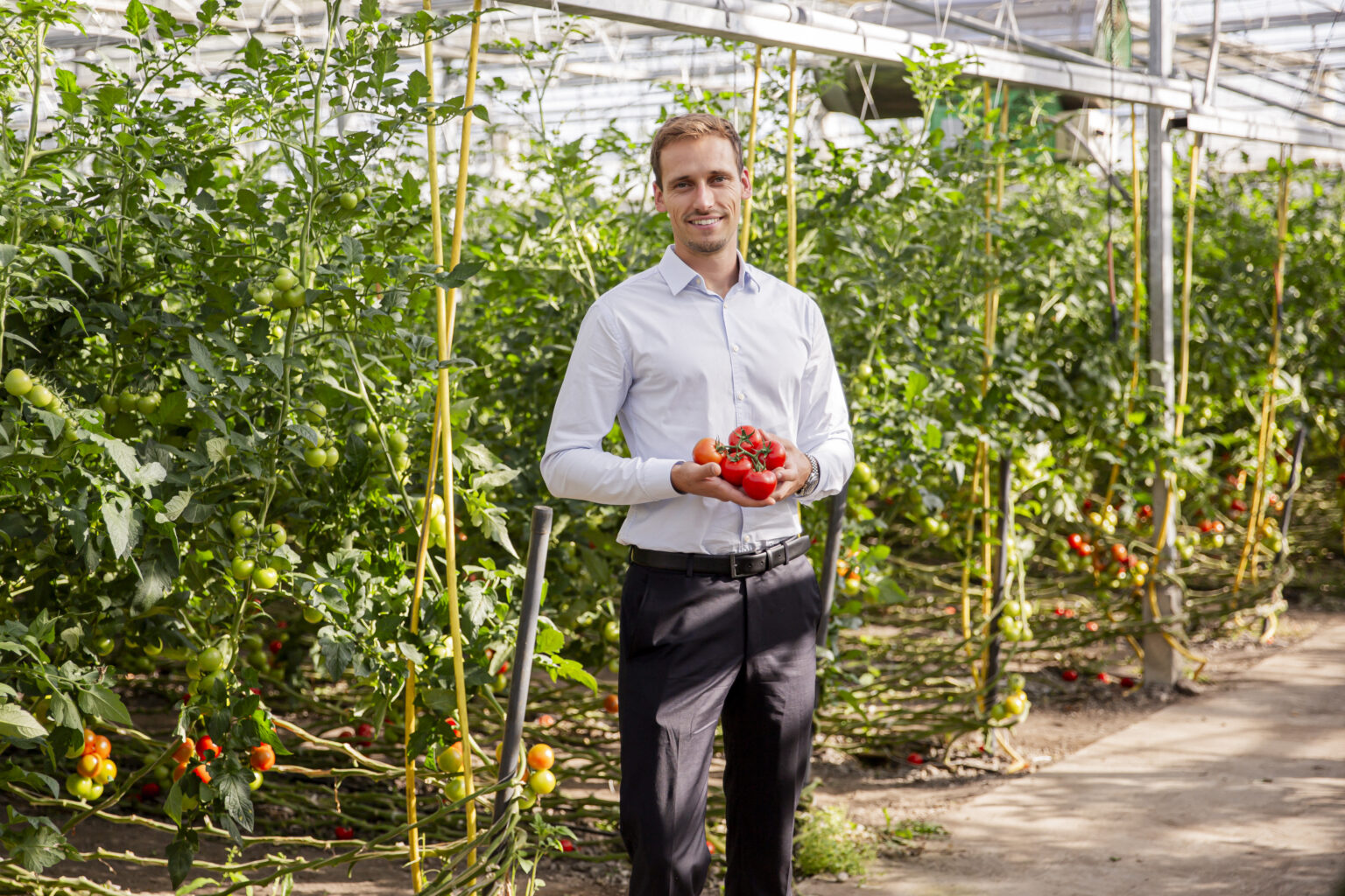 rl aron bock business gewaechshaus 26